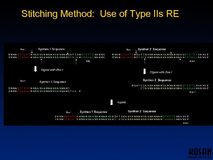 Stitching Method: Use of Type IIs RE 