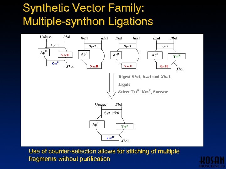 Synthetic Vector Family: Multiple-synthon Ligations Use of counter-selection allows for stitching of multiple fragments