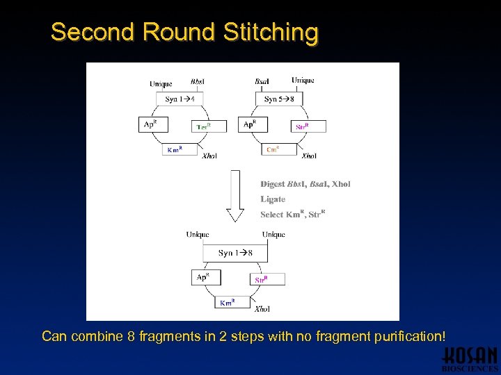 Second Round Stitching Can combine 8 fragments in 2 steps with no fragment purification!