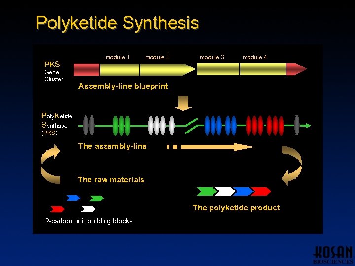 Polyketide Synthesis PKS Gene Cluster module 1 module 2 module 3 module 4 Assembly-line