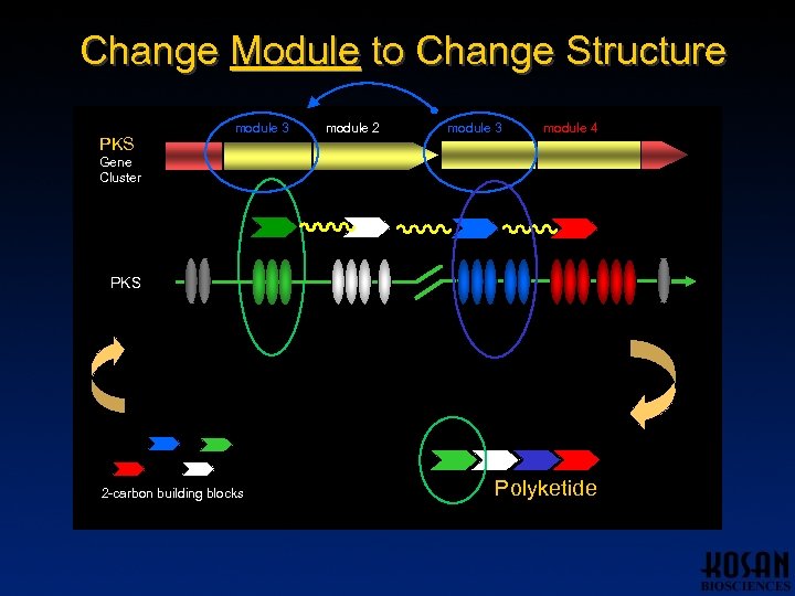 Change Module to Change Structure PKS module 1 module 3 module 2 module 3