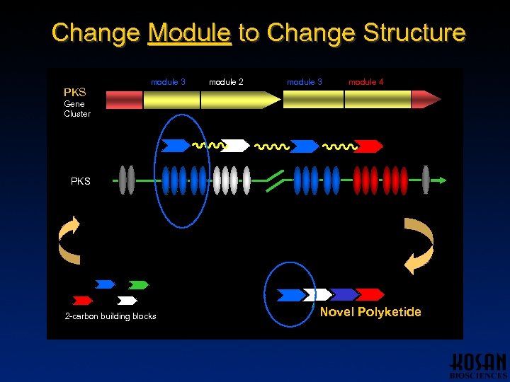 Change Module to Change Structure PKS module 1 module 3 module 2 module 3
