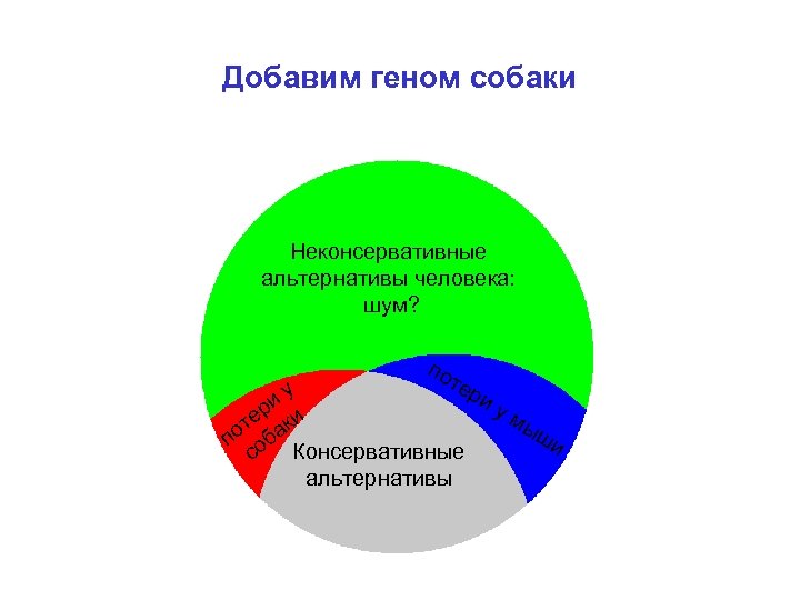 Добавим геном собаки Неконсервативные Human-specific alternatives: альтернативы человека: noise? шум? у по те ри