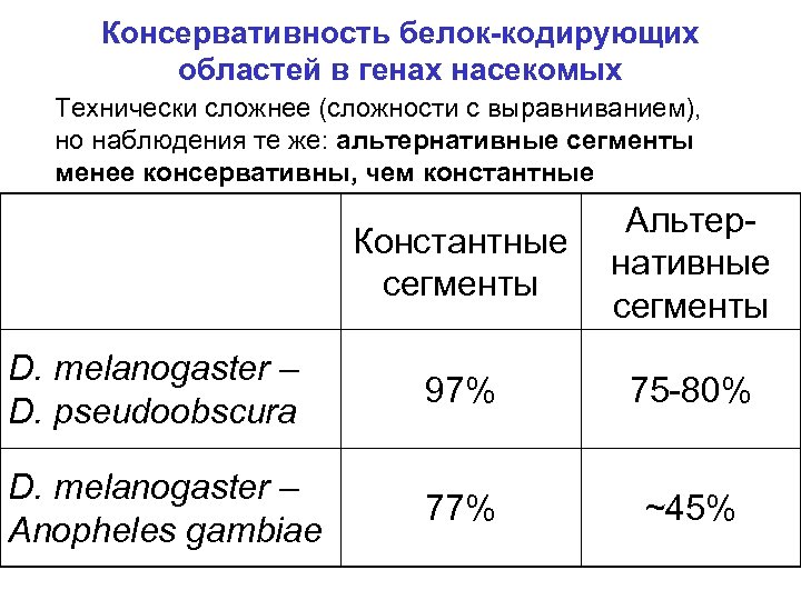 Консервативность белок-кодирующих областей в генах насекомых Технически сложнее (сложности с выравниванием), но наблюдения те