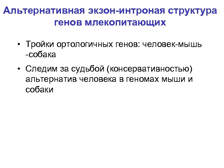 Альтернативная экзон-интроная структура генов млекопитающих • Тройки ортологичных генов: человек-мышь -собака • Следим за
