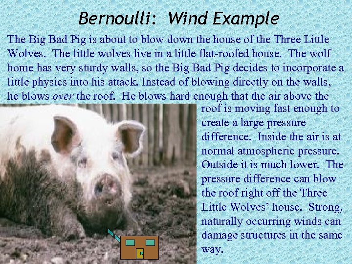 Bernoulli: Wind Example The Big Bad Pig is about to blow down the house