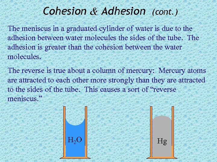 Cohesion & Adhesion (cont. ) The meniscus in a graduated cylinder of water is