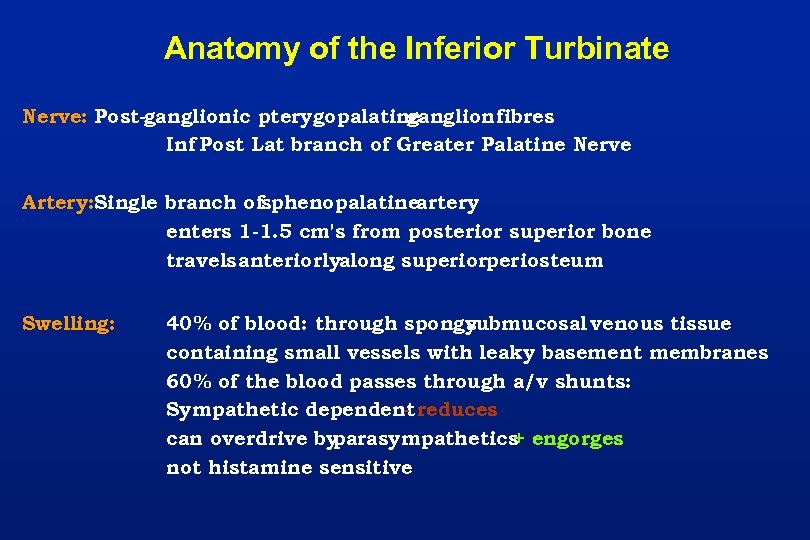 Anatomy of the Inferior Turbinate Nerve: Post-ganglionic pterygopalatine ganglion fibres Inf Post Lat branch