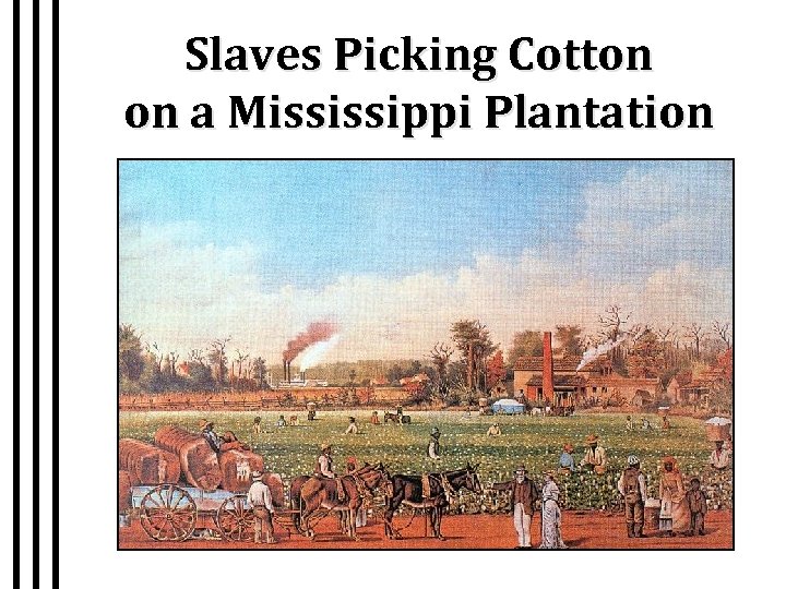 Slaves Picking Cotton on a Mississippi Plantation 