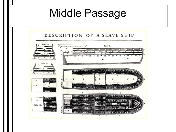 Middle Passage 