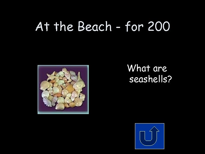 At the Beach - for 200 What are seashells? 