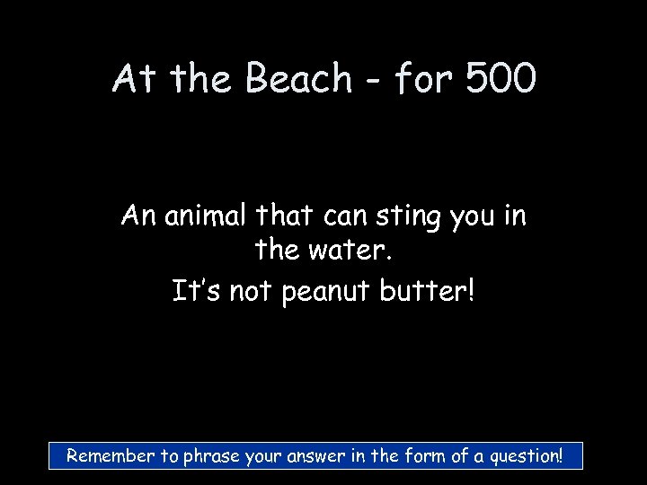 At the Beach - for 500 An animal that can sting you in the