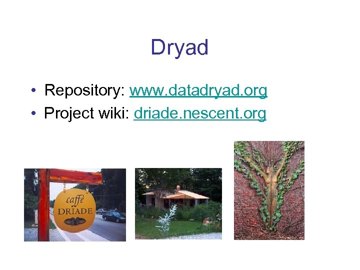 Dryad • Repository: www. datadryad. org • Project wiki: driade. nescent. org 