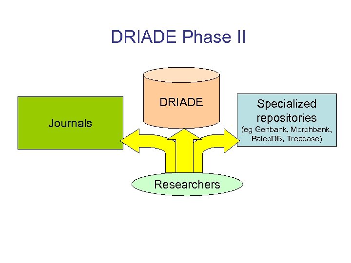 DRIADE Phase II DRIADE Journals Specialized repositories (eg Genbank, Morphbank, Paleo. DB, Treebase) Researchers