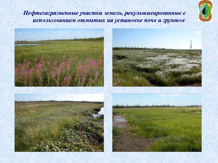 Нефтезагрязненные участки земель, рекультивированные с использованием отмытых на установке почв и грунтов 