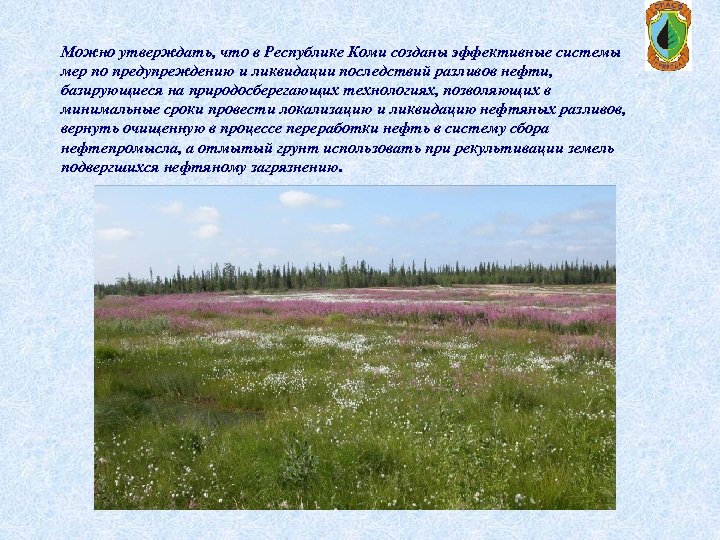 Можно утверждать, что в Республике Коми созданы эффективные системы мер по предупреждению и ликвидации