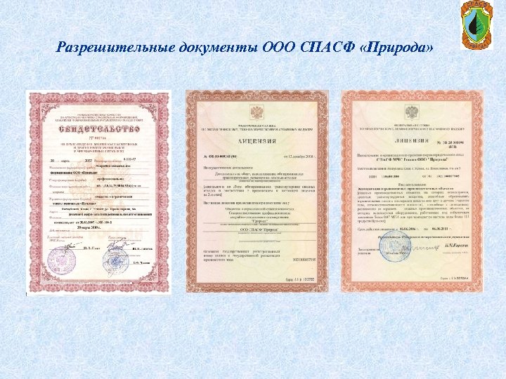 Разрешительные документы ООО СПАСФ «Природа» 