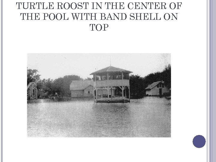 TURTLE ROOST IN THE CENTER OF THE POOL WITH BAND SHELL ON TOP 