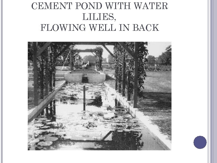 CEMENT POND WITH WATER LILIES, FLOWING WELL IN BACK 