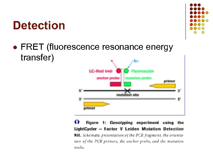 Detection l FRET (fluorescence resonance energy transfer) 