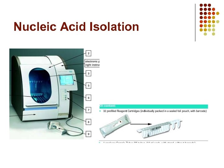 Nucleic Acid Isolation 