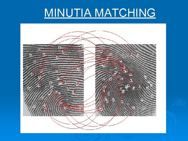 MINUTIA MATCHING 