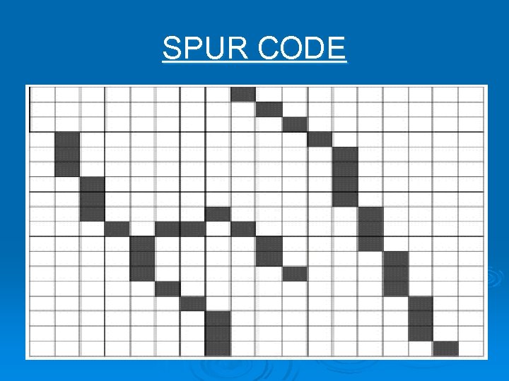 SPUR CODE 