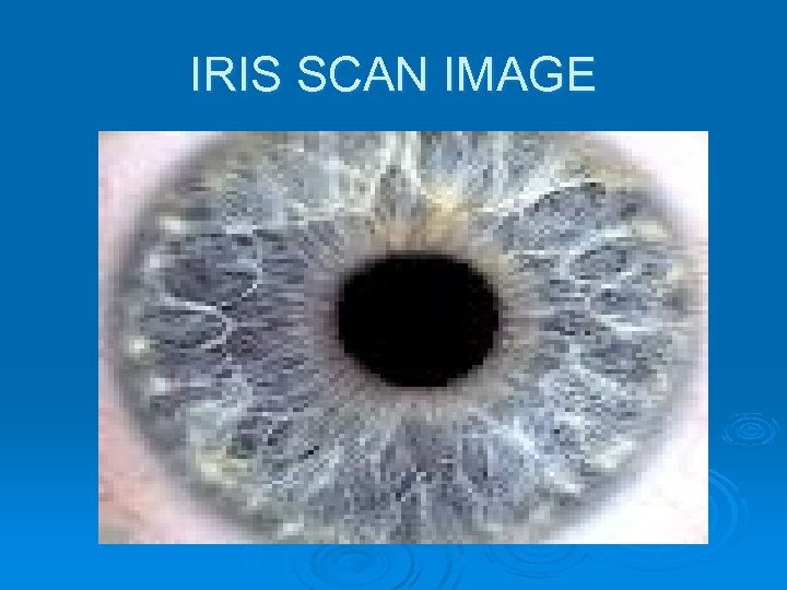 IRIS SCAN IMAGE 