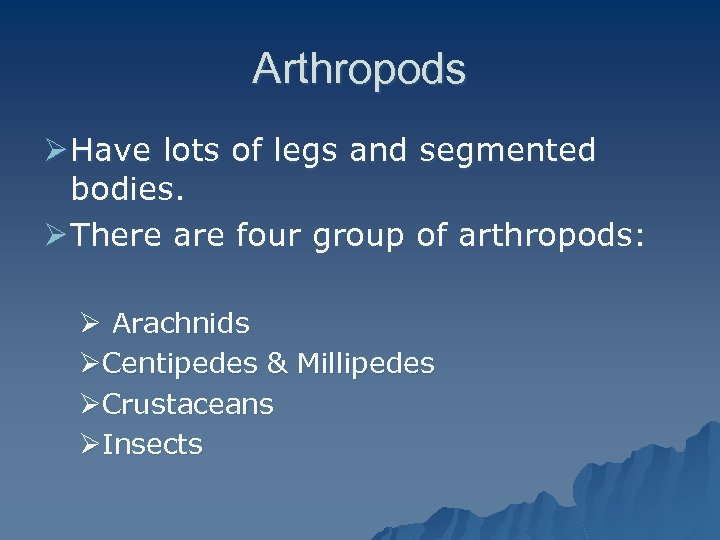 Arthropods Ø Have lots of legs and segmented bodies. Ø There are four group