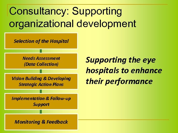 Consultancy: Supporting organizational development Selection of the Hospital Needs Assessment (Data Collection) Vision Building