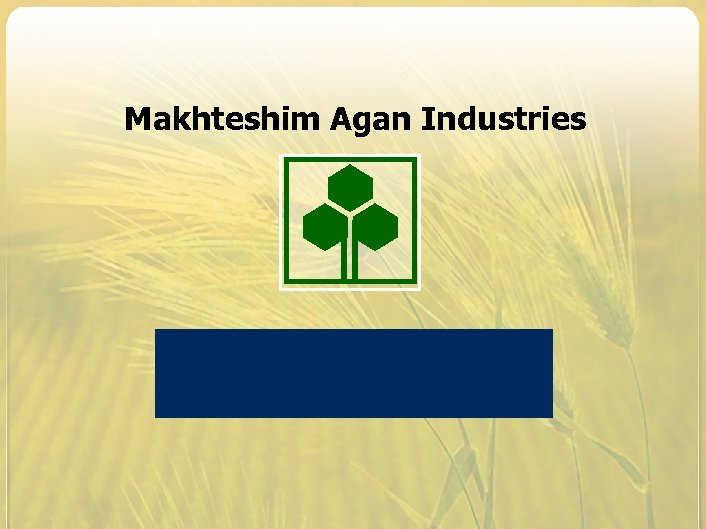 Makhteshim Agan Industries 