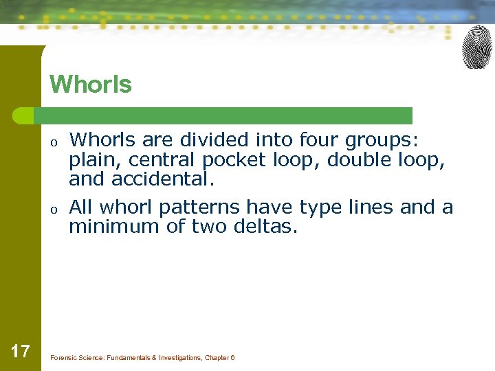Whorls o o 17 Whorls are divided into four groups: plain, central pocket loop,