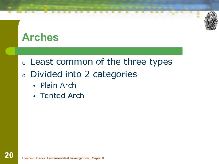 Arches o o Least common of the three types Divided into 2 categories •
