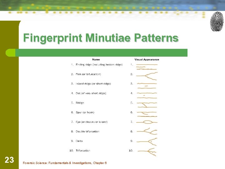 Fingerprint Minutiae Patterns 23 Forensic Science: Fundamentals & Investigations, Chapter 6 