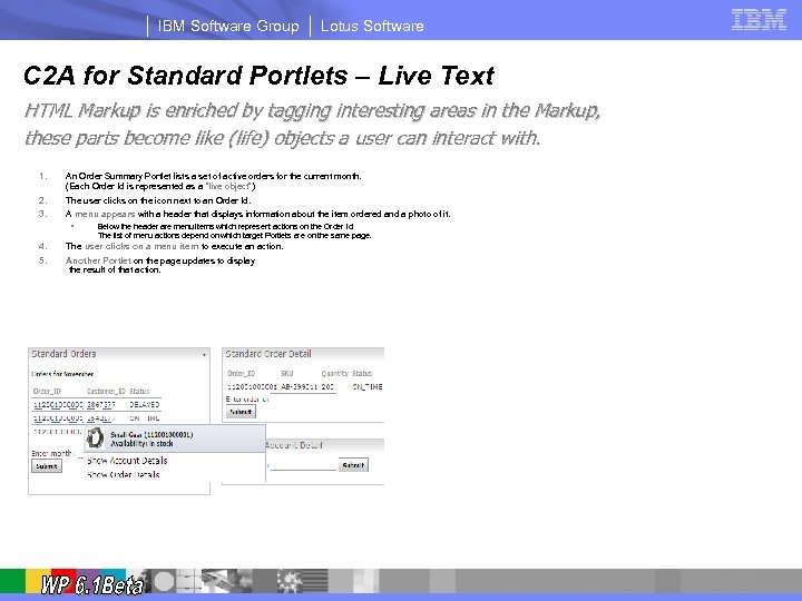 IBM Software Group Lotus Software C 2 A for Standard Portlets – Live Text