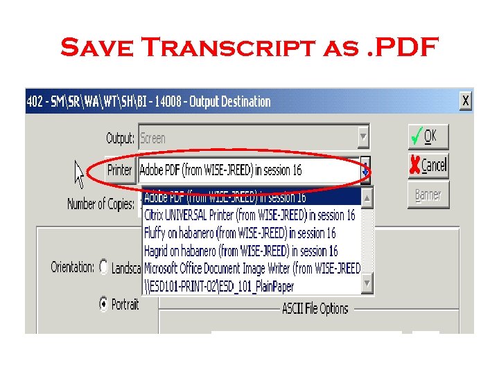 Save Transcript as. PDF 