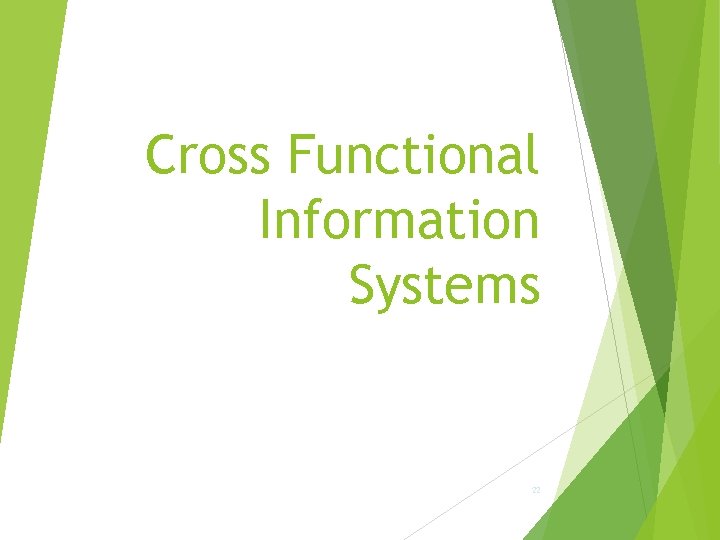 Cross Functional Information Systems 22 