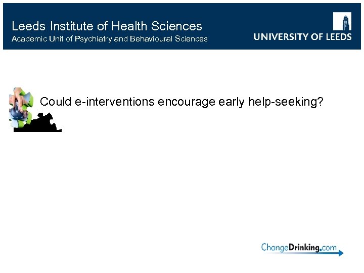 Leeds Institute of Health Sciences Academic Unit of Psychiatry and Behavioural Sciences Could e-interventions