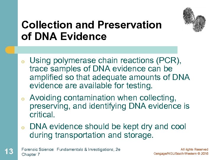 Collection and Preservation of DNA Evidence o o o 13 Using polymerase chain reactions