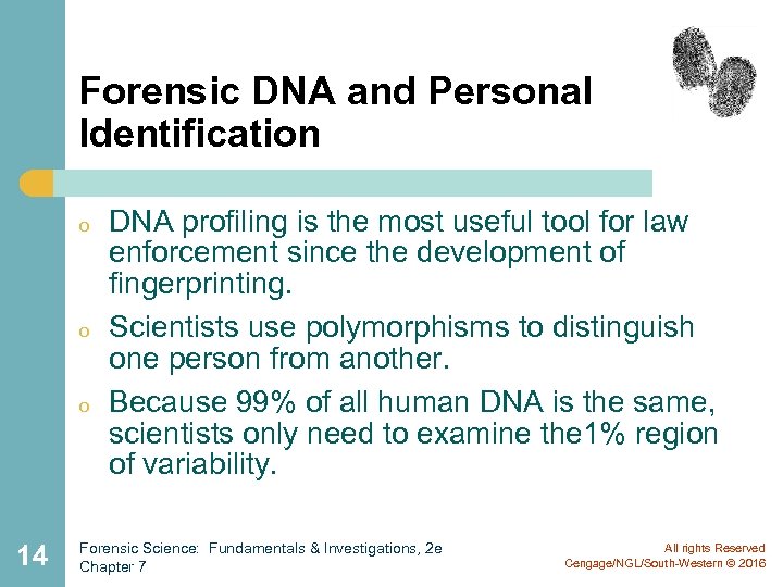 Forensic DNA and Personal Identification o o o 14 DNA profiling is the most