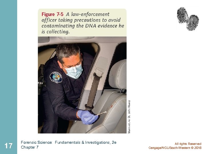 17 Forensic Science: Fundamentals & Investigations, 2 e Chapter 7 All rights Reserved Cengage/NGL/South-Western