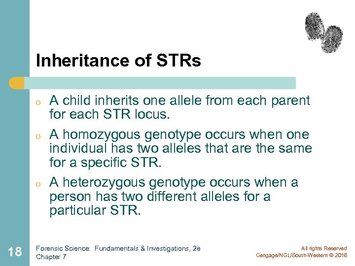 Inheritance of STRs o o o 18 A child inherits one allele from each