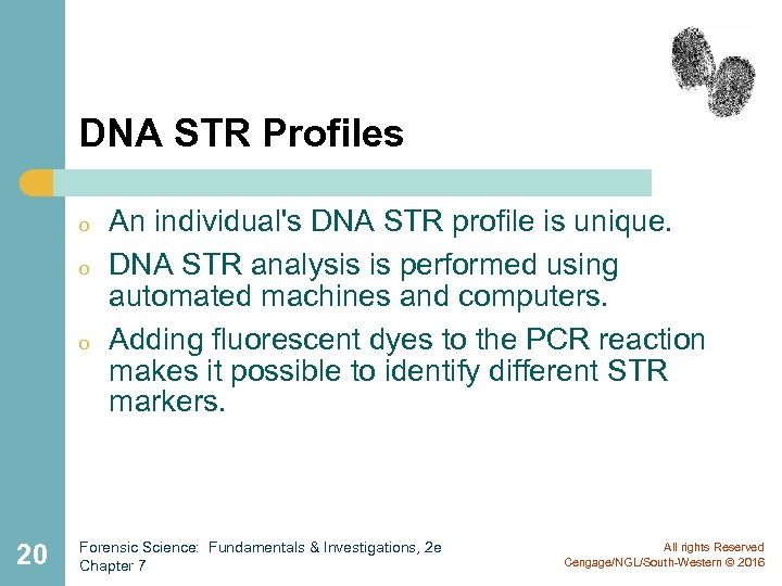 DNA STR Profiles o o o 20 An individual's DNA STR profile is unique.