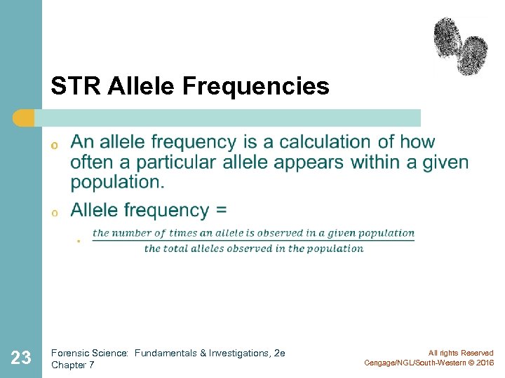 STR Allele Frequencies o 23 Forensic Science: Fundamentals & Investigations, 2 e Chapter 7