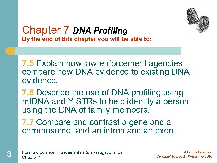 Chapter 7 DNA Profiling By the end of this chapter you will be able