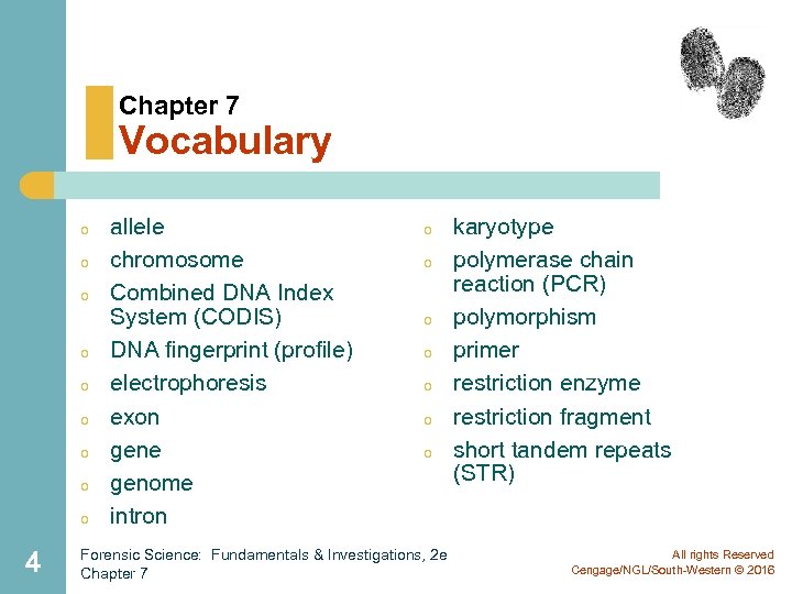 Chapter 7 Vocabulary o o o o o 4 allele chromosome Combined DNA Index