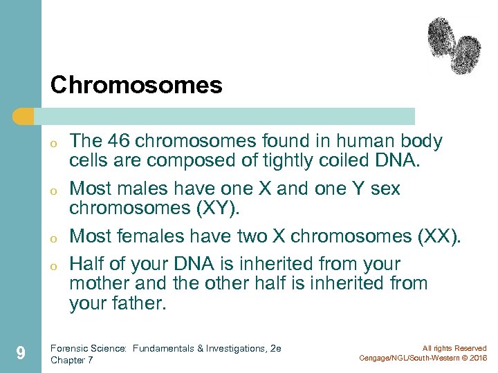 Chromosomes o o 9 The 46 chromosomes found in human body cells are composed