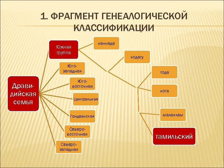 1. ФРАГМЕНТ ГЕНЕАЛОГИЧЕСКОЙ КЛАССИФИКАЦИИ каннада Южная группа кодагу Югозападная Дравидийская семья Юговосточная тода кота