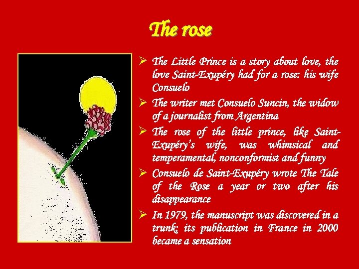 The rose Ø The Little Prince is a story about love, the love Saint-Exupéry