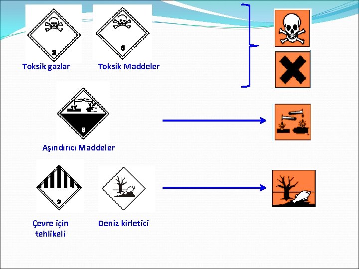Toksik gazlar Toksik Maddeler Aşındırıcı Maddeler Çevre için tehlikeli Deniz kirletici 